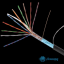 Кабель NETLAN F/UTP 10 пар, Кат.5, (Класс D), 100МГц, одножильный, BC (чистая медь), внешний, PE до -40C, черный, 305м